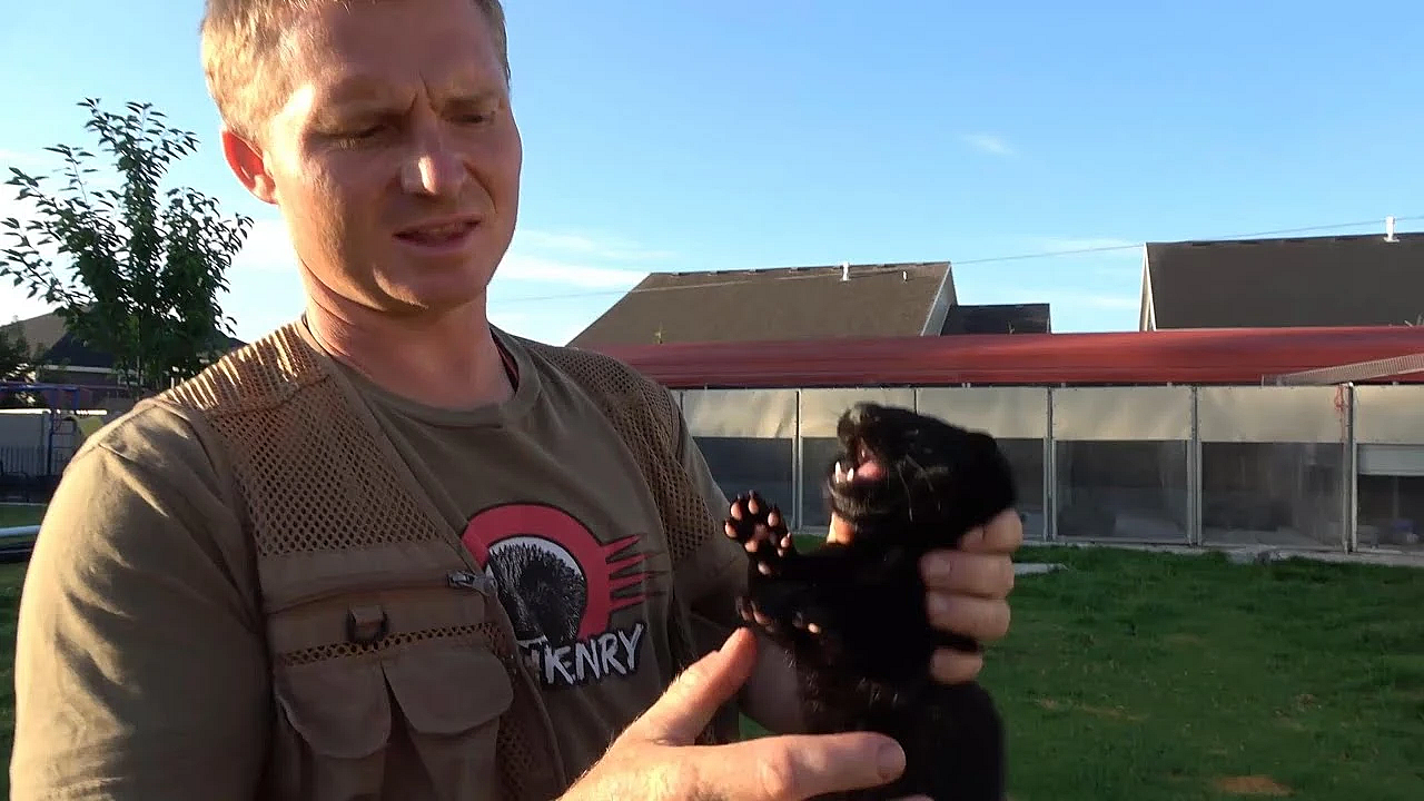 Caching Training Part 3 For Rascal