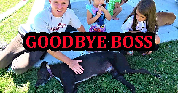 Goodbye Boss