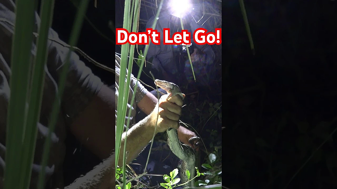 Don’t Let Go!