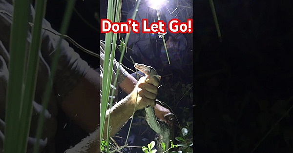 Don’t Let Go!