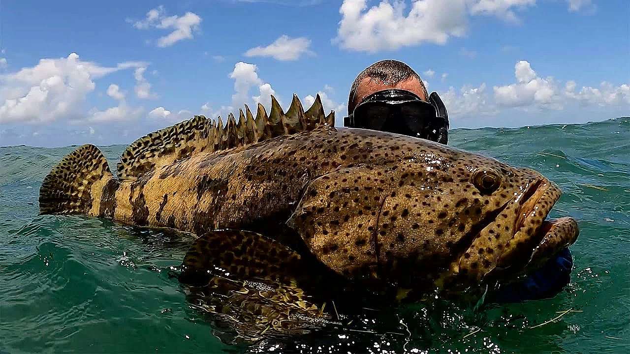 Catching Giant Fish By Hand! Holding My Breath! {catch Clean Cook} With Bluegabe And Deermom