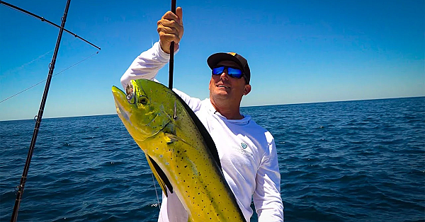 Mahi Mahi Vs. Barracuda {catch Clean Cook} Coconut Crusted Fish Fingers