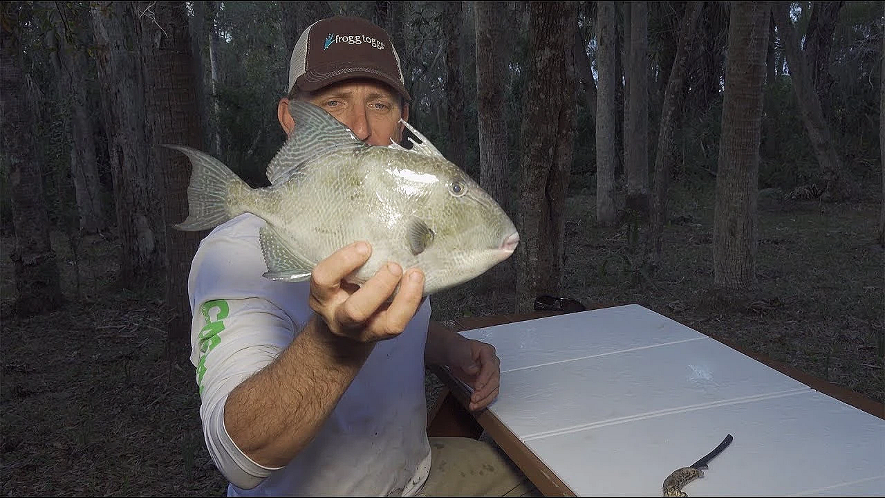 Tasty Triggerfish {catch Clean Cook} Chamorro Style