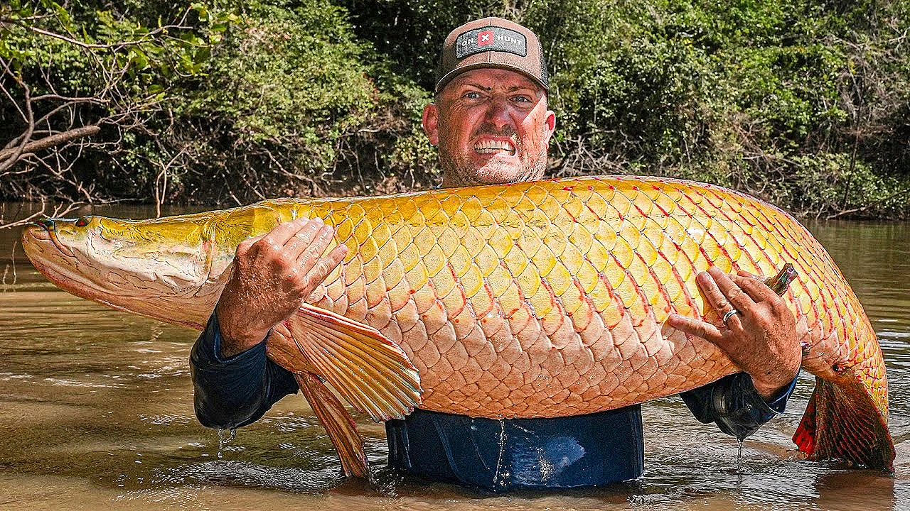 This Fish Has Super Human Strength! {rewa, Guyana} Massive Arapaima