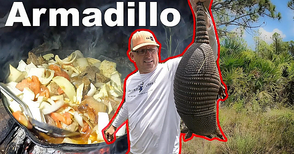 Swamp Cabbage, Armadillo And Wild Boar! Wild Food On An Open Fire!