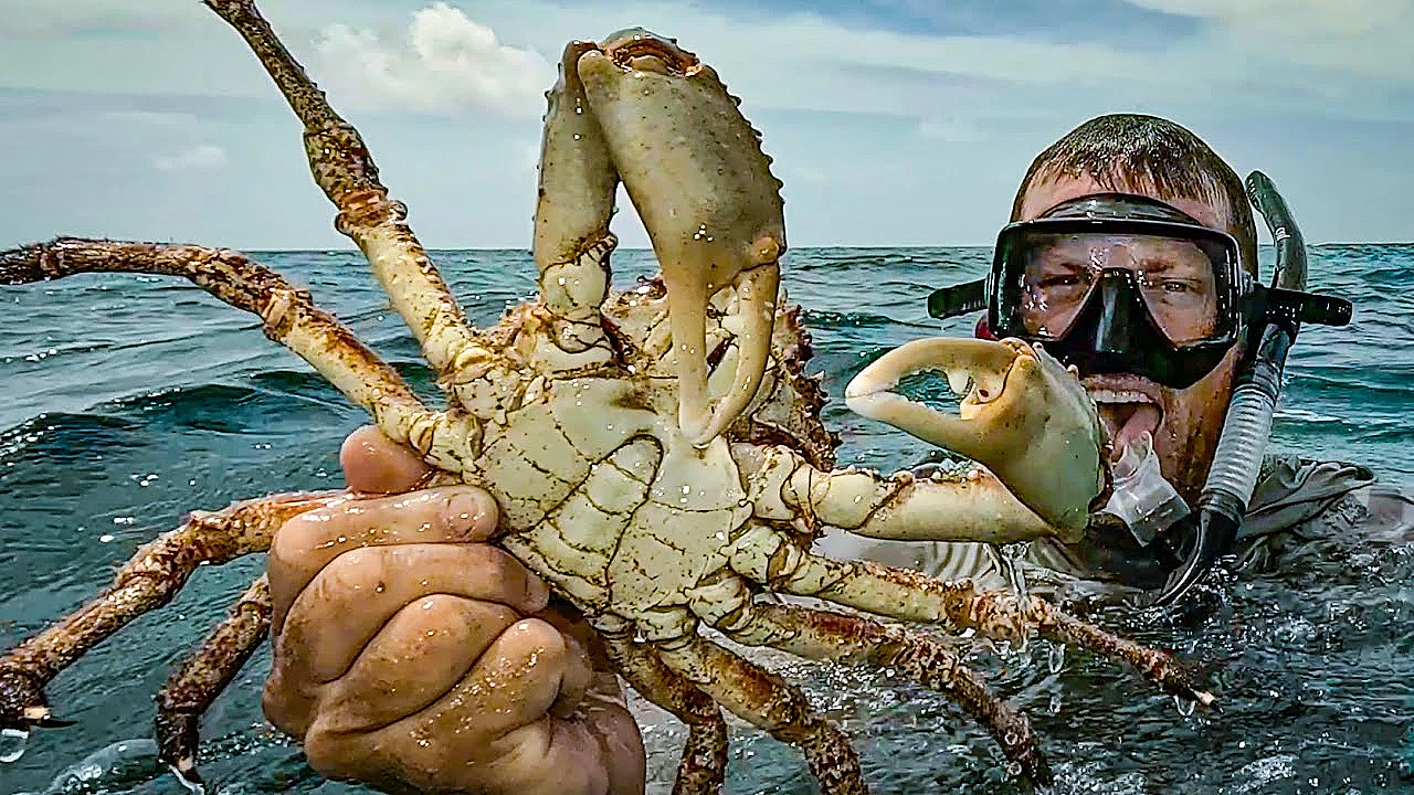 Stranded On A Remote Island With My Family! {catch Clean Cook} Making Fire With A Camera Lens!