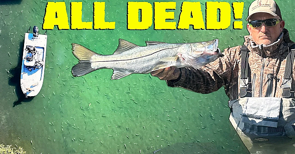 We Found Thousands Of Dead Fish!!!