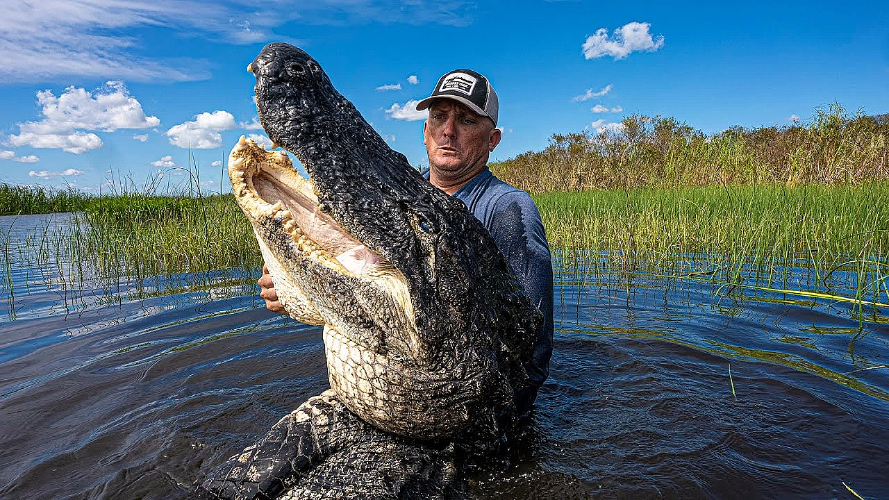 This Alligator Was Massive!!! {catch Clean Cook} Asian Alligator Bites With Sticky Sesame Sauce