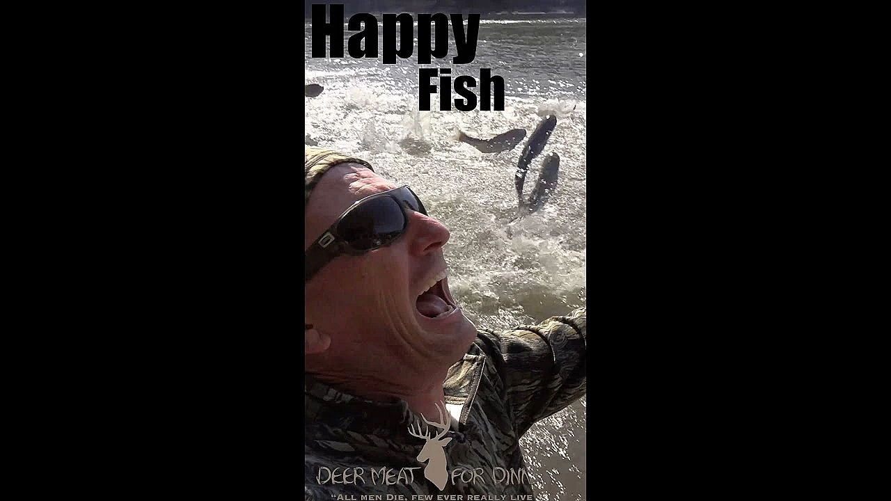 Happy Fish #shorts