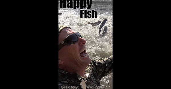 Happy Fish #shorts