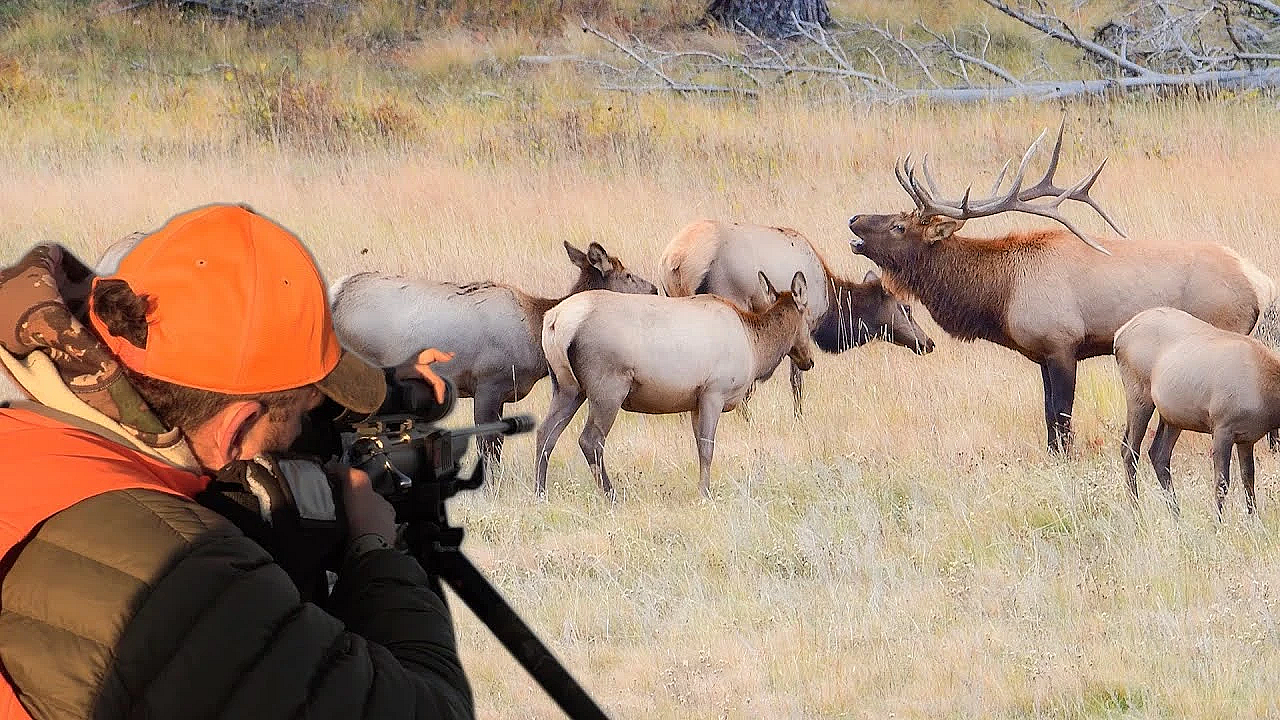 Our Hunting Partner Had No Feet And We Found A Massive Herd Of Elk!