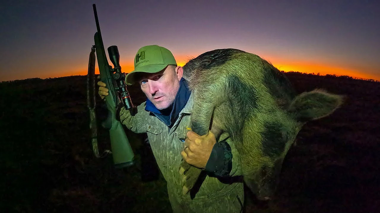 Building A Huge Wild Boar Trap! {catch Clean Cook} Feral Hogs Are Taking Over The Ranch!