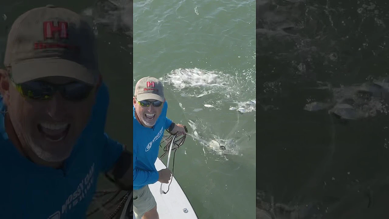 Bait For Days!