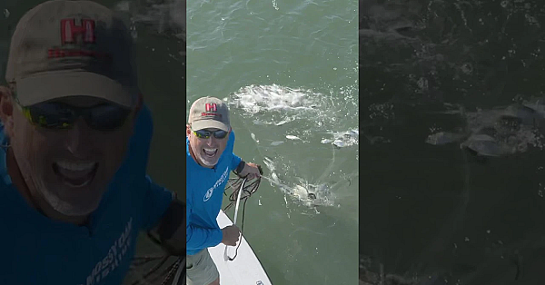 Bait For Days!