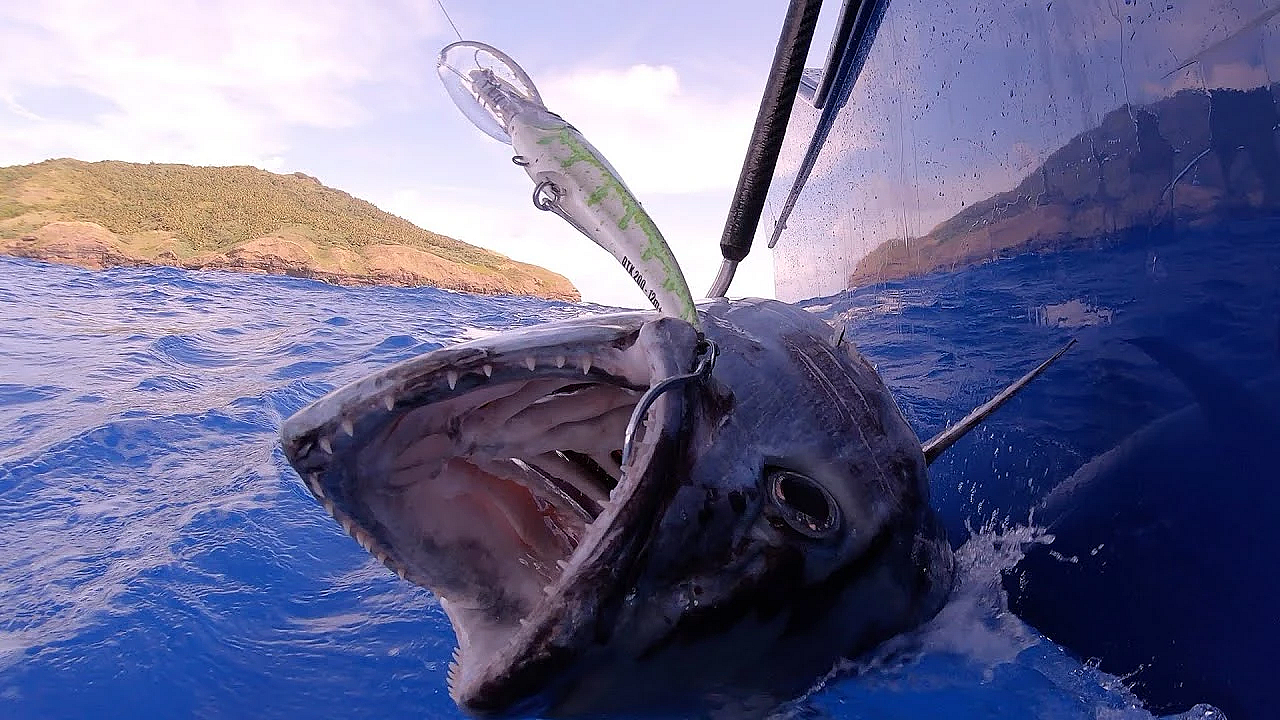 Epic Deep Sea Tuna Fishing!!! {catch Clean Cook} Kinsington Saipan / Northern Mariana Islands