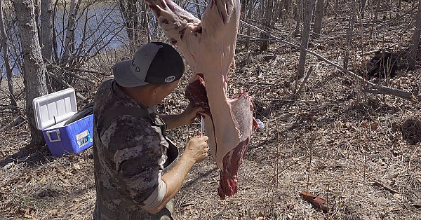 How To Clean A Bear