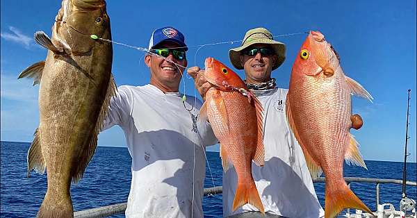 Massive Yellow Eye Snapper {catch Clean Cook} 3 Fish At One Time!!!