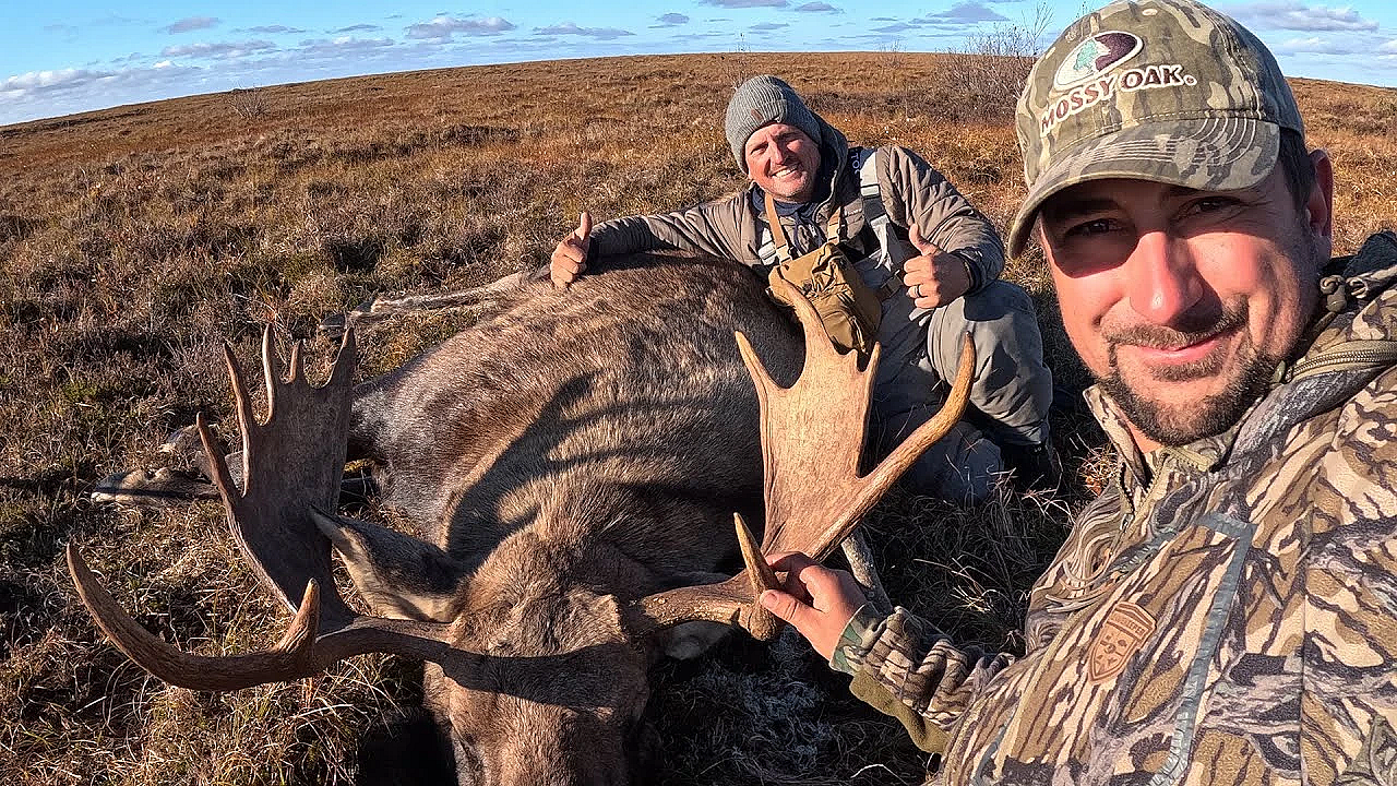 Diy!!! 2 Alaskan Bull Moose In 1 Day!!! {catch Clean Cook} Camp Food Over Open Fire