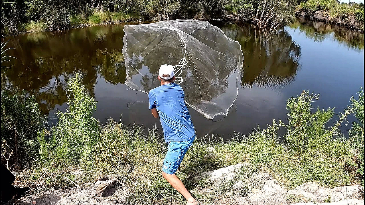 Cast Netting Hundreds Of Fish For My Pond!!!
