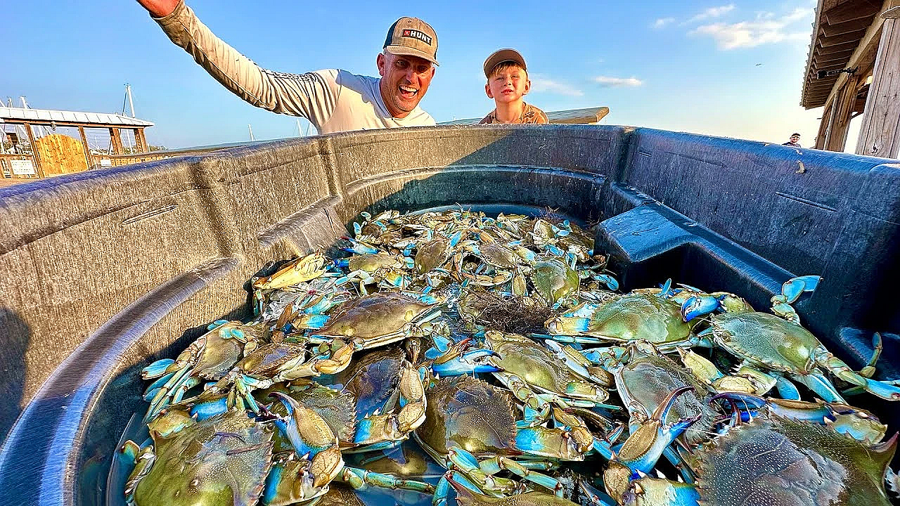 The Most Amazing Crabbing I've Ever Done! {catch Clean Cook} Florida Vs Georgia Crabs