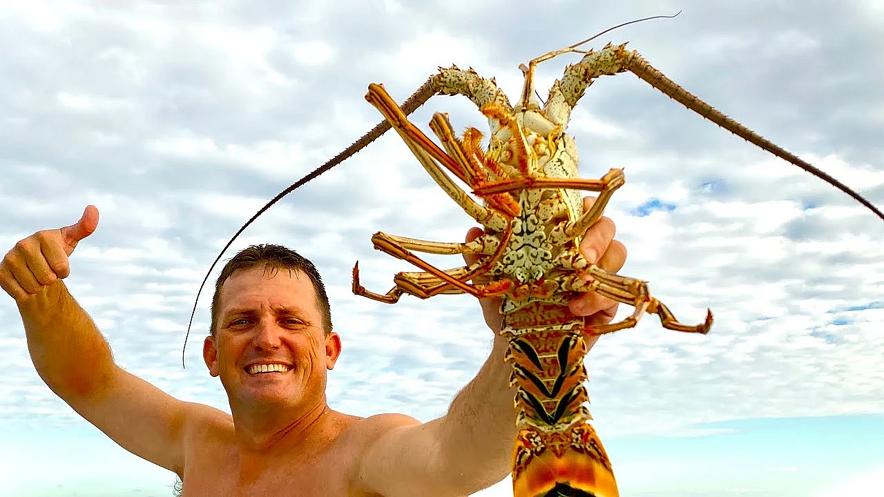 Last Minute Lobster Dive {catch Clean Cook} Family Stories You've Never Heard Us Tell!!!