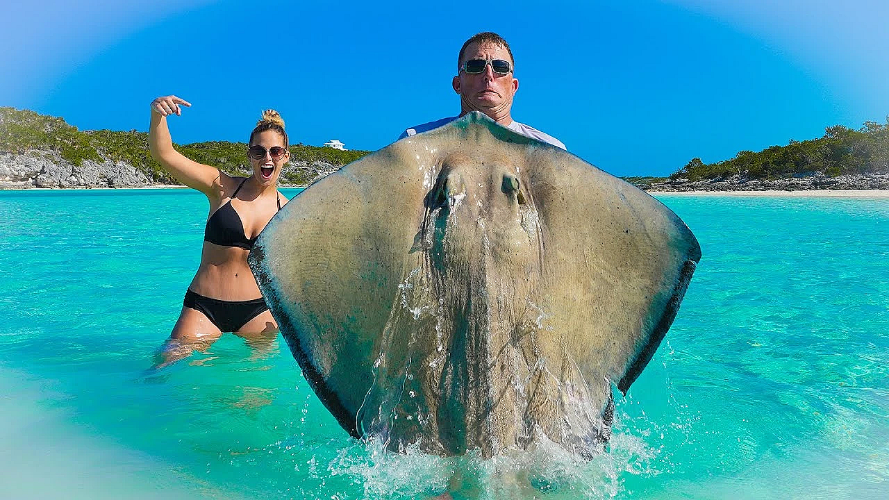 Massive Stingray!!! {catch Clean Cook} Authentic Philippine Recipe