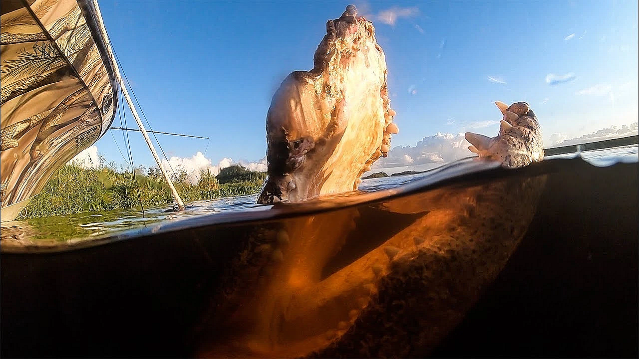 Massive Alligator With Deformed Mouth!!! {catch Clean Cook}