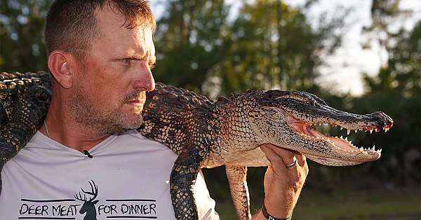 How To Put A Wild Alligator To Sleep! {catch Clean Cook} Whole Smoked Alligator