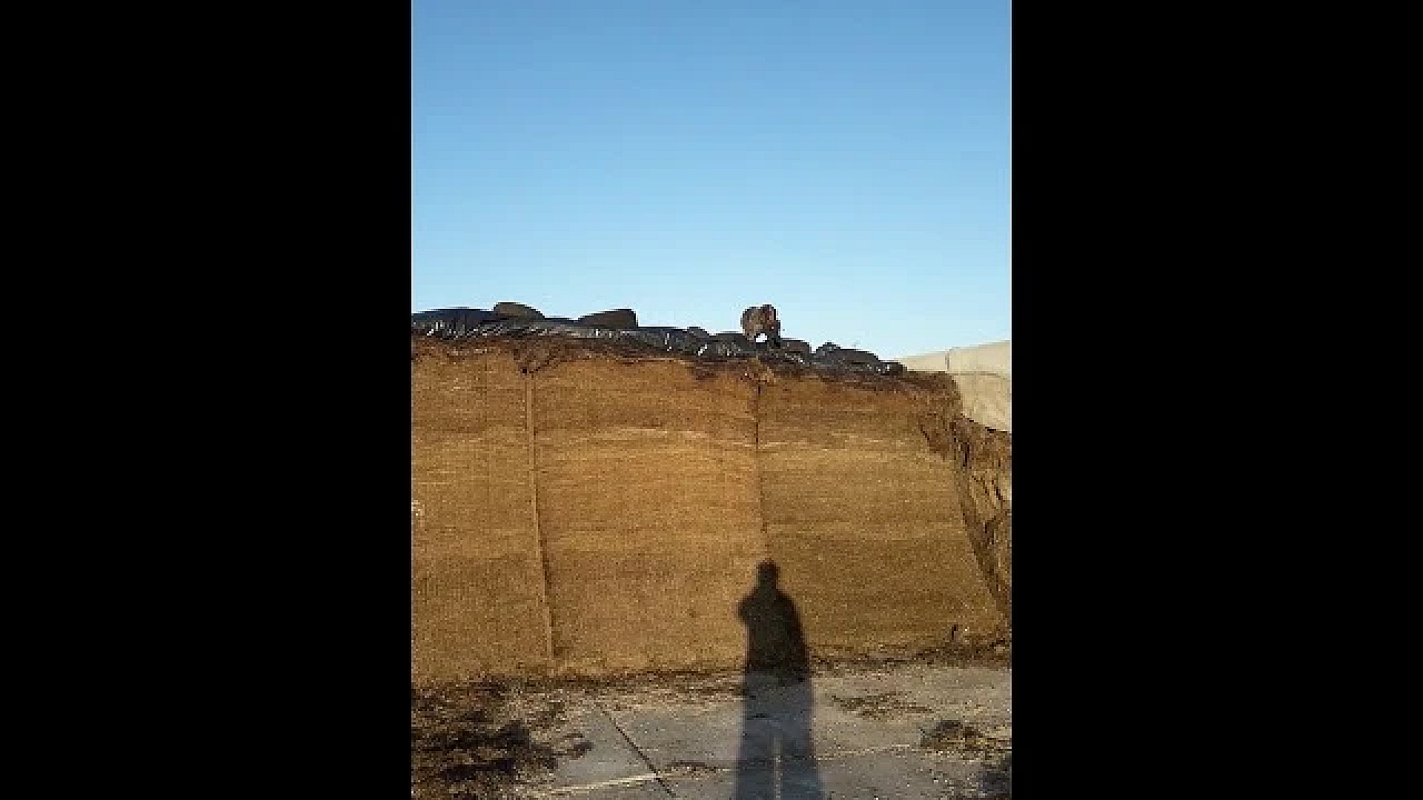 Superman Jackman !