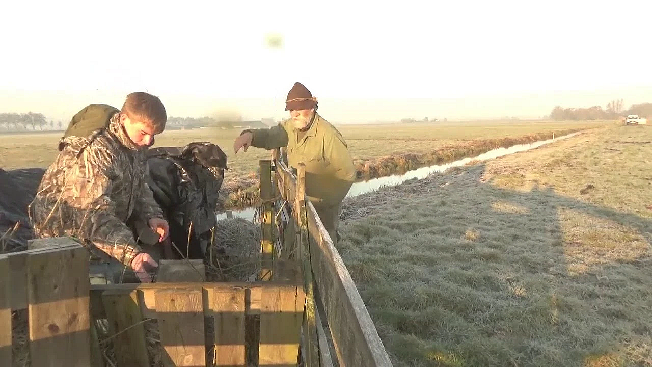 Vossenplaag Met Sam