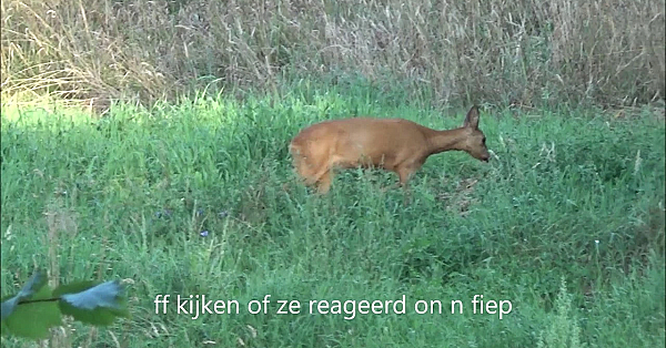 De Zonne Bloem Bok