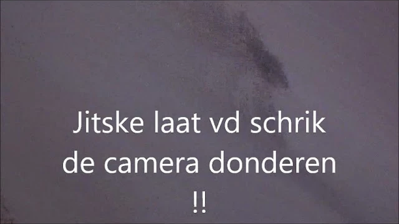 De Zonne Bloem Bok