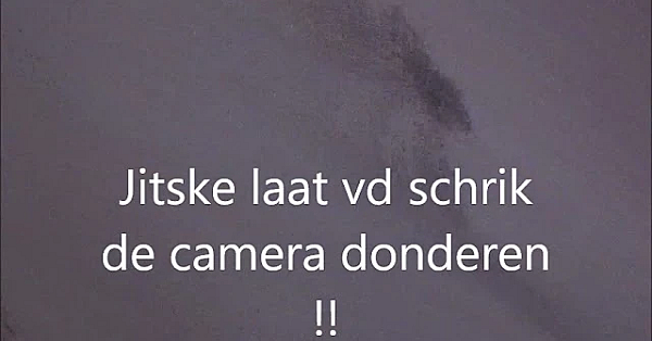 De Zonne Bloem Bok