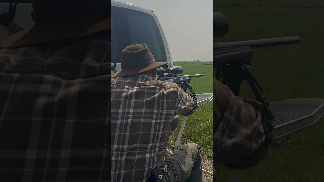 Gans Schieten Op 200 Meter #hunting #jacht #jagen #gans #goose #shooting