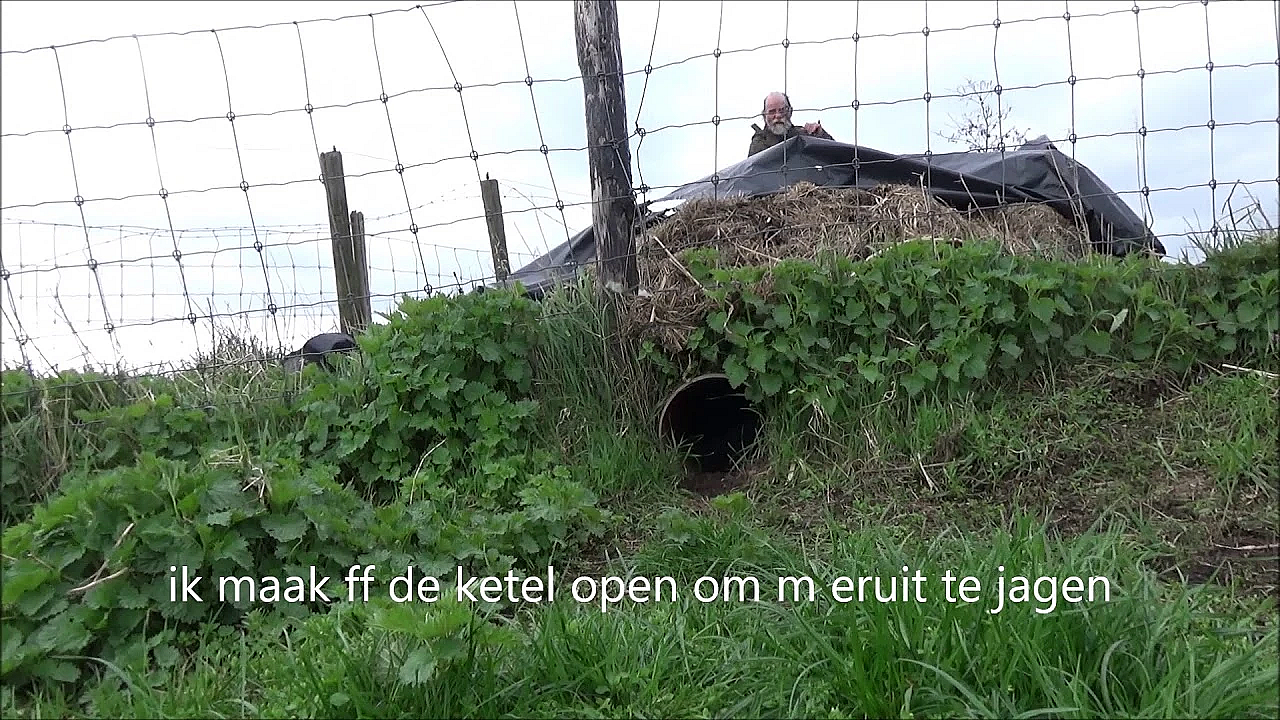 Berg Eenden