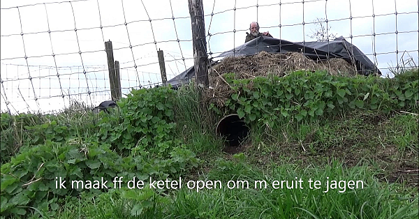 Berg Eenden