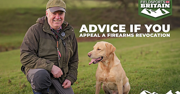 Advice If You Appeal A Firearms Revocation