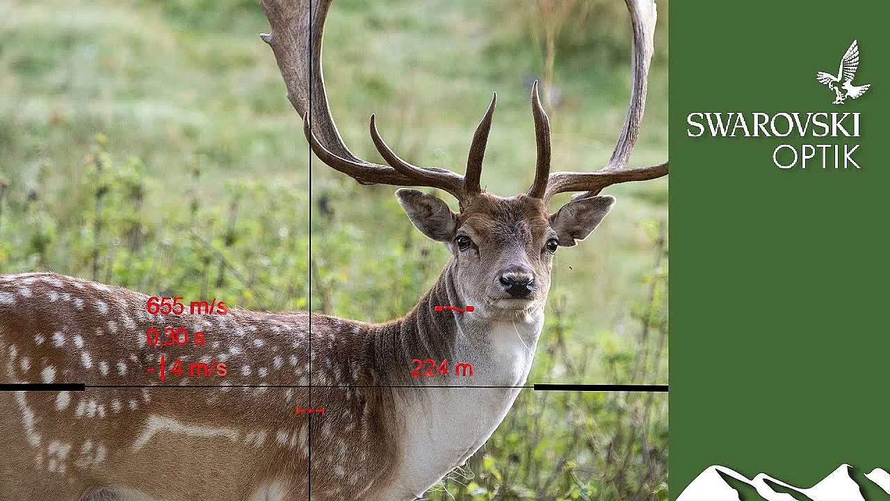What The Swarovski Ds Gen Ii Riflescope Can Do With Deer