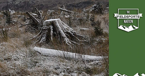 Will Tree Mania Kill Scottish Deer Stalking?