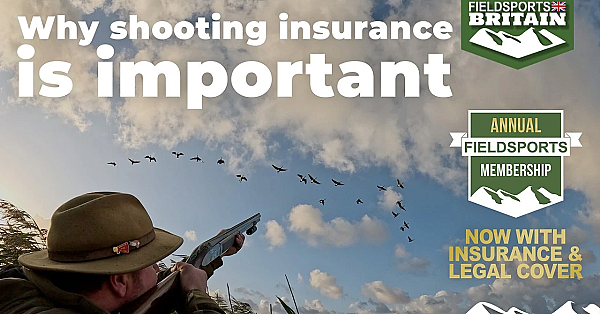 Why Shooting Insurance Is Important
