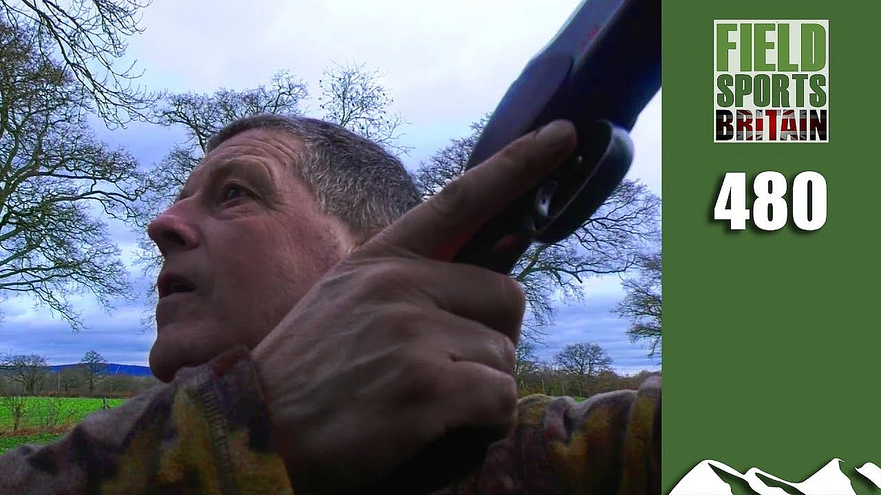 Fieldsports Britain - Crow's On The Pigeons