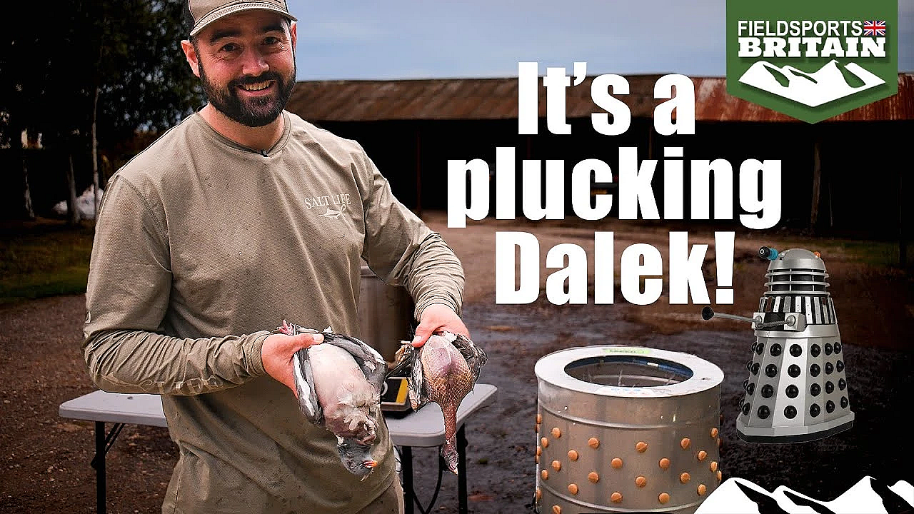 Pigeon Pluckers
