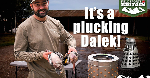 Pigeon Pluckers