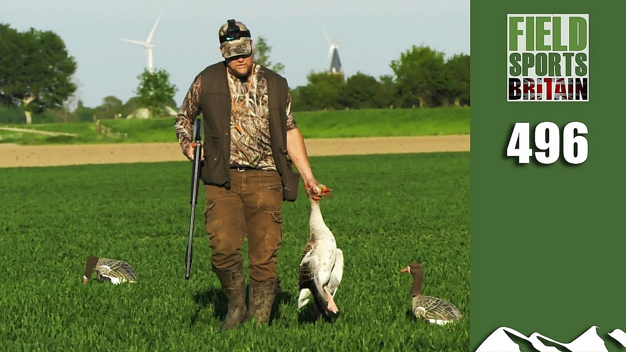 Fieldsports Britain - How The Dutch Cope With General Licences