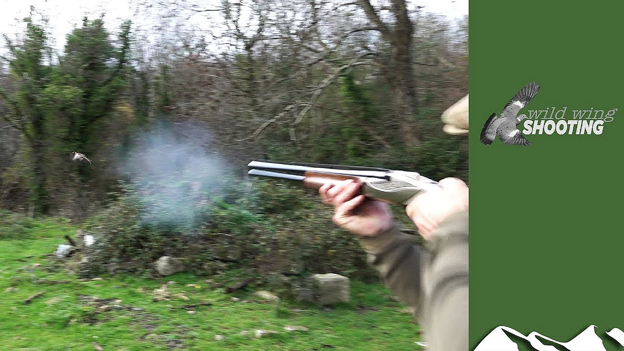 Irish Rough Shoot