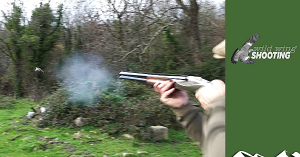 Irish Rough Shoot