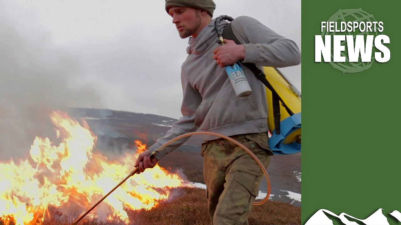 British Wildfire Season 2020
