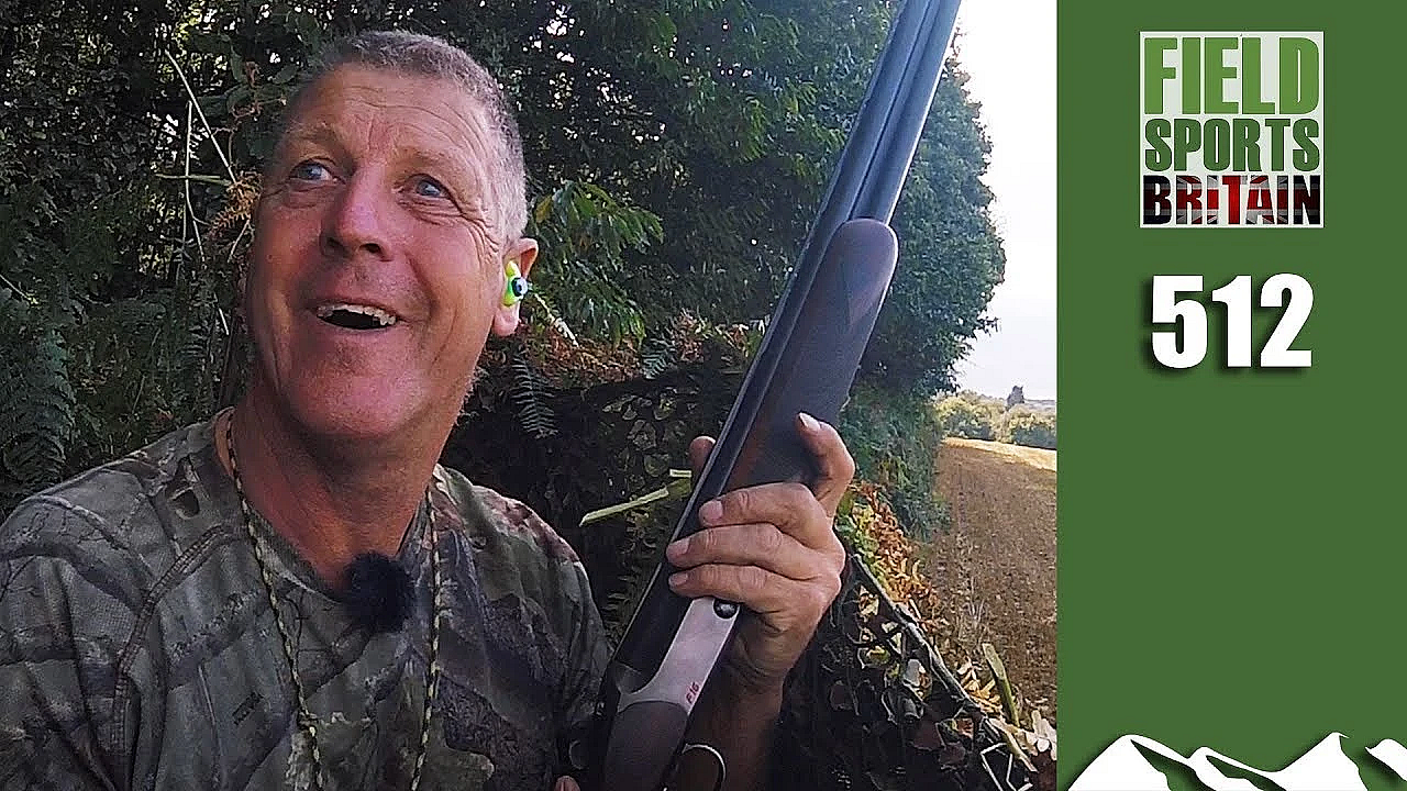 Fieldsports Britain - Crow's Pigeon Happy Place