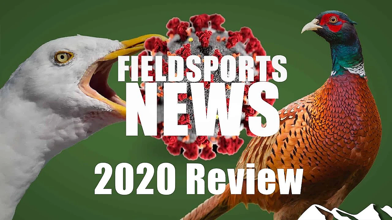 2020 Fieldsports News Review
