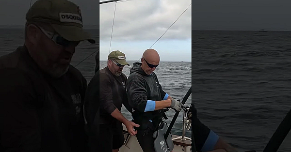 Fishing In Welsh